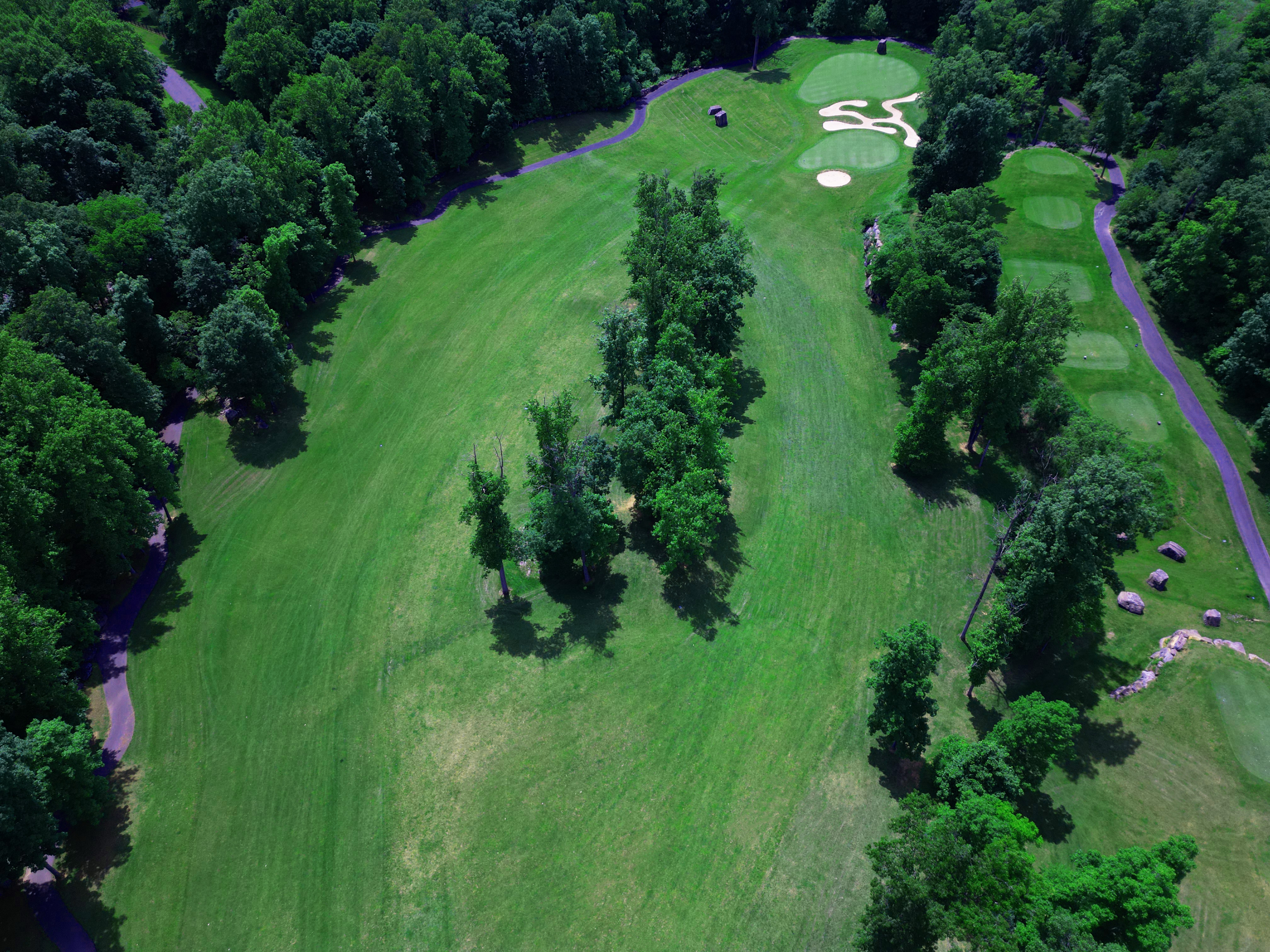 Boulder Course with trees